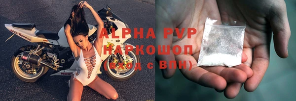 дживик Ельня