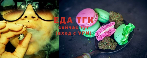 дживик Ельня