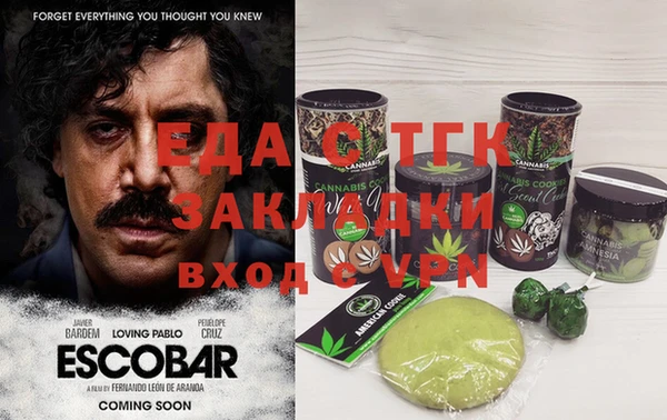 дживик Ельня