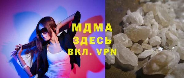 дживик Ельня