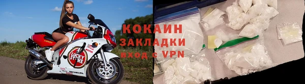 дживик Ельня