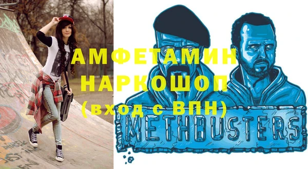 дживик Ельня