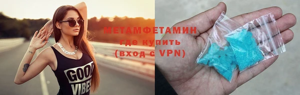 дживик Ельня