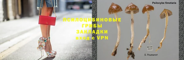 дживик Ельня