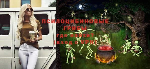 ALPHA-PVP Елизово