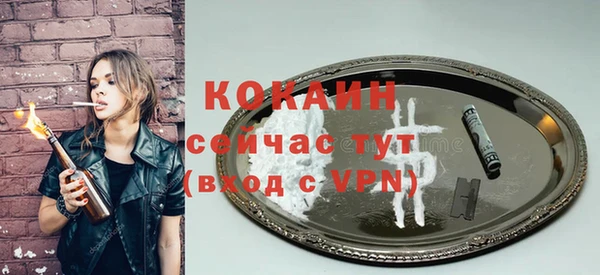 дживик Ельня