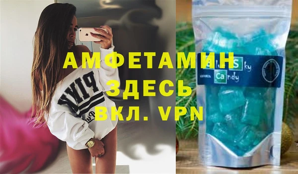 дживик Ельня