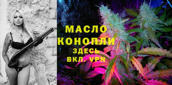 дживик Ельня