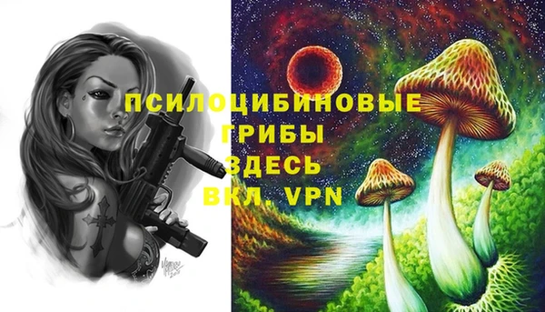 ALPHA-PVP Елизово