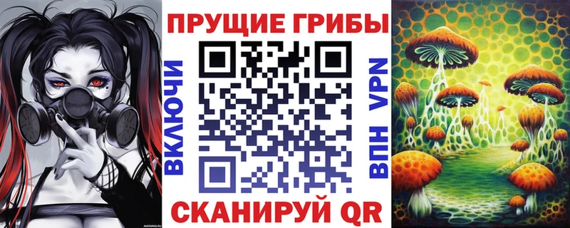 где продают   darknet формула  Галлюциногенные грибы GOLDEN TEACHER  Кизляр  hydra как войти 