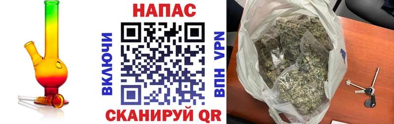 Бошки марихуана планчик  цена наркотик  Кизляр 